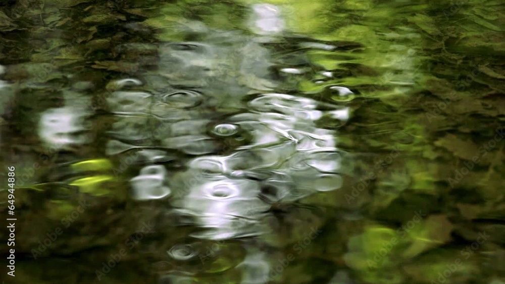 green water reflections green water reflections