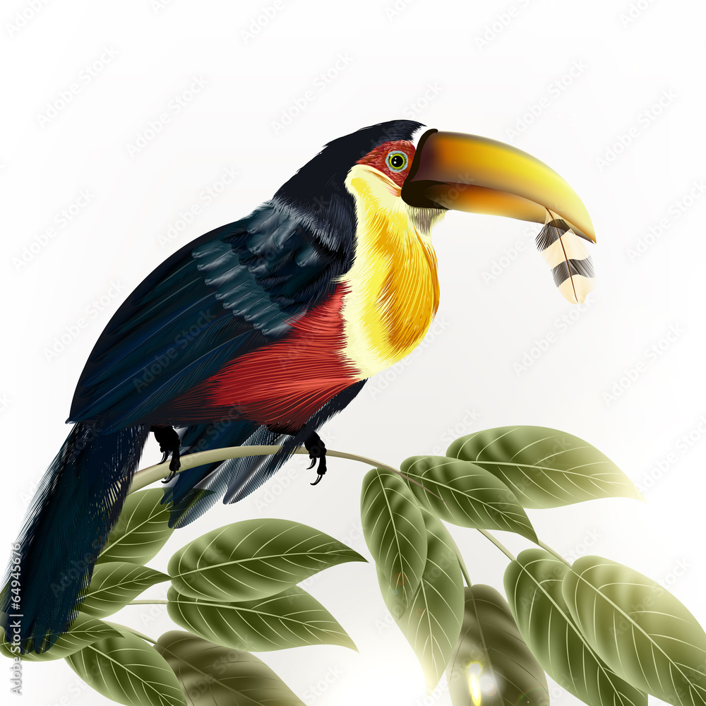 Fototapeta premium Background with vector detailed colorful tropical bird