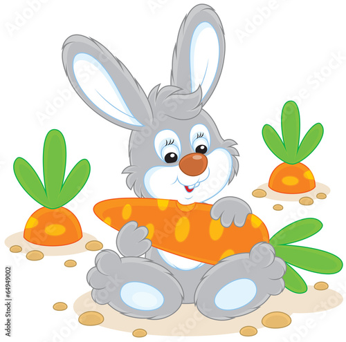 Bunny with a carrot