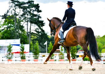 Sierkussen Paardrijden Dressuurpaard tijdens uitgestrekte draf  © GoodPics