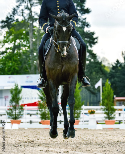  military rider on dressage competition