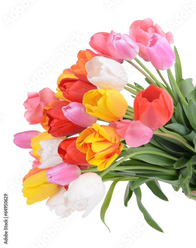 Fototapeta Naklejka Na Ścianę i Meble -  Beautiful tulips in bucket isolated on white