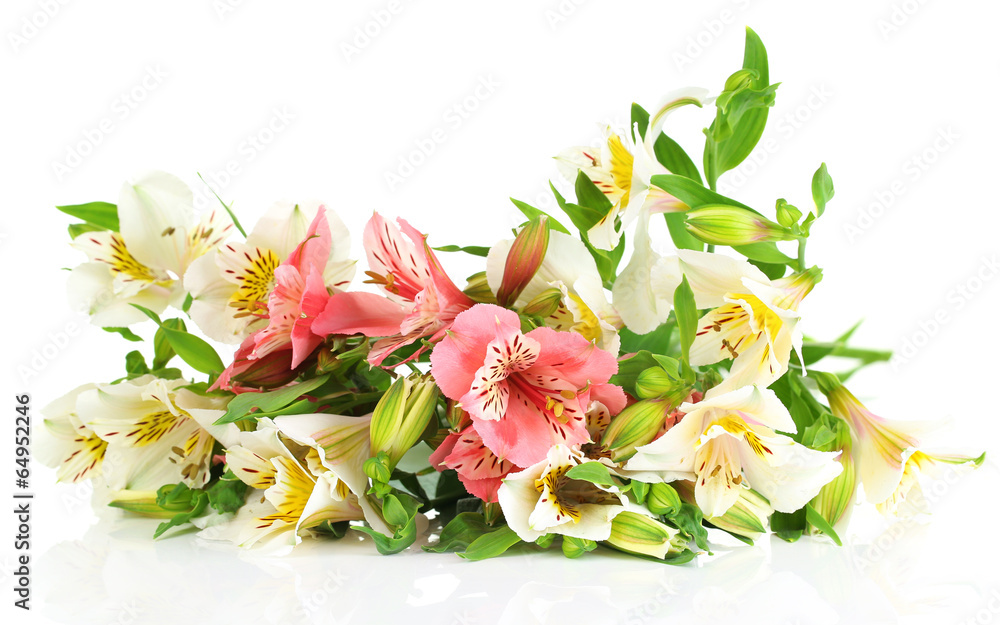 Beautiful bouquet of freesias isolated on white