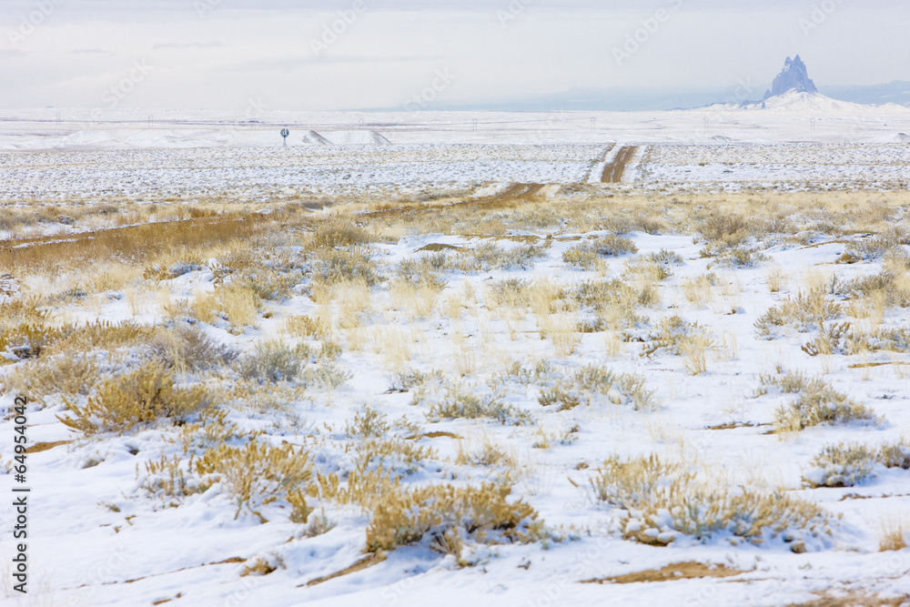 winter landscape of Colorado, USA