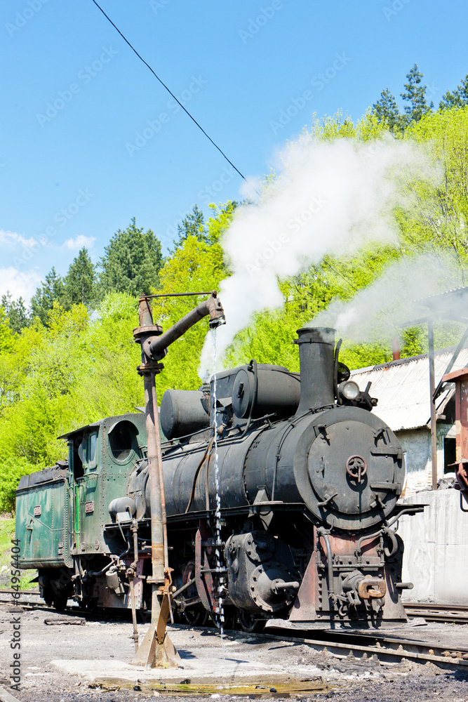Obraz premium steam locomotive, delivery point in Oskova, Bosnia and Hercegovi