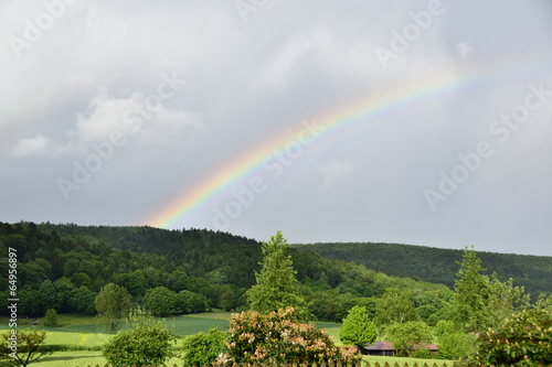 Regenbogen