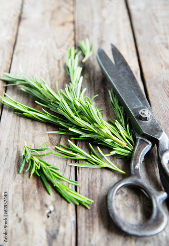 fresh rosemary bunch with scissors on an old rustic wooden table