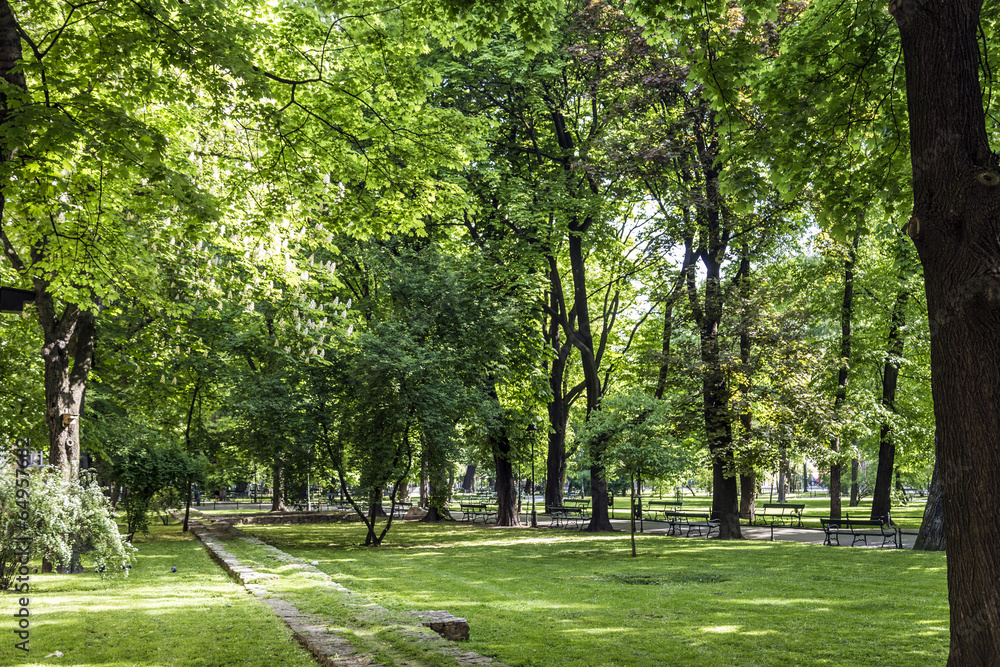 Naklejka premium parc Planty w Krakowie