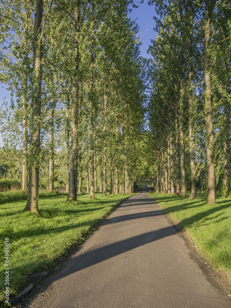 country road