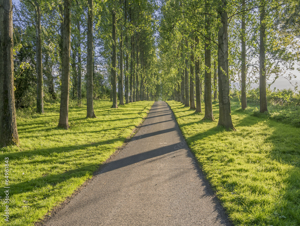 Obraz premium country road