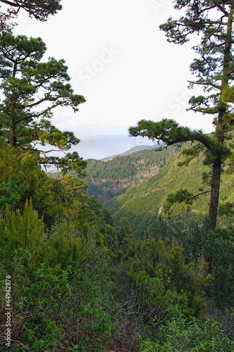 Green valley on the La Palma island, Canary, Spain