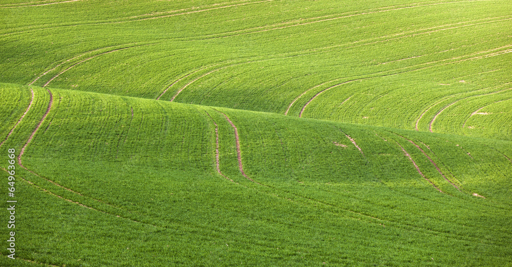 Lines and waves in detail look at the fields Lines and waves in detail look at the fields