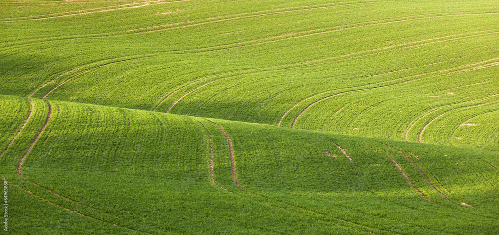 Lines and waves in detail look at the fields