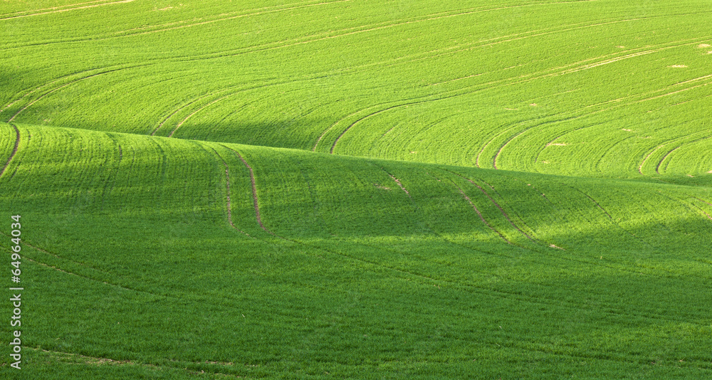 Lines and waves in detail look at the fields Lines and waves in detail look at the fields