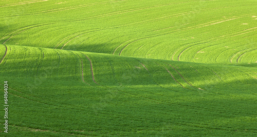 Lines and waves in detail look at the fields © travelview