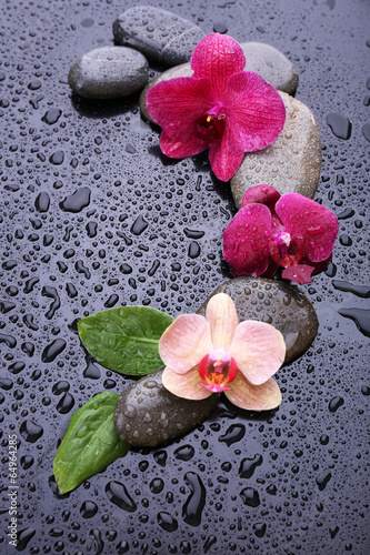 Fototapeta Naklejka Na Ścianę i Meble -  Composition with beautiful blooming orchid with water drops and