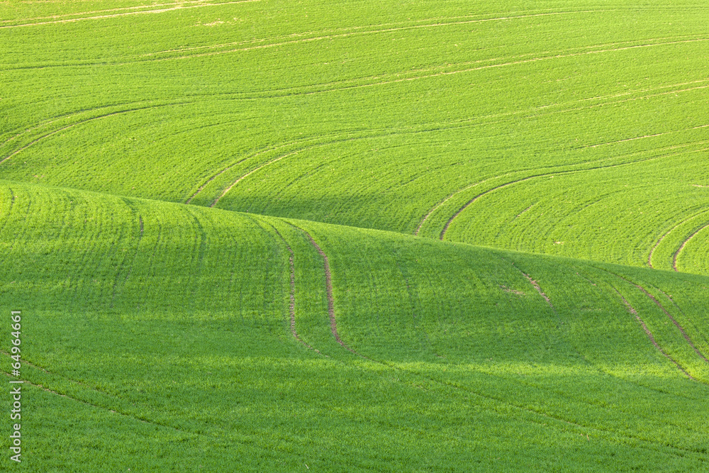 Lines and waves in detail look at the fields Lines and waves in detail look at the fields
