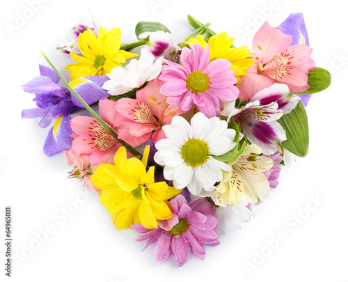 Fototapeta Naklejka Na Ścianę i Meble -  Beautiful flowers isolated on white