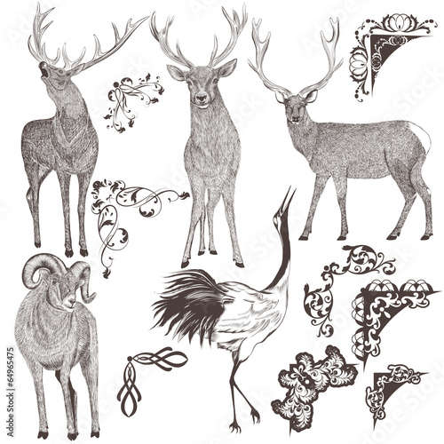 Collection of vector hand drawn animals
