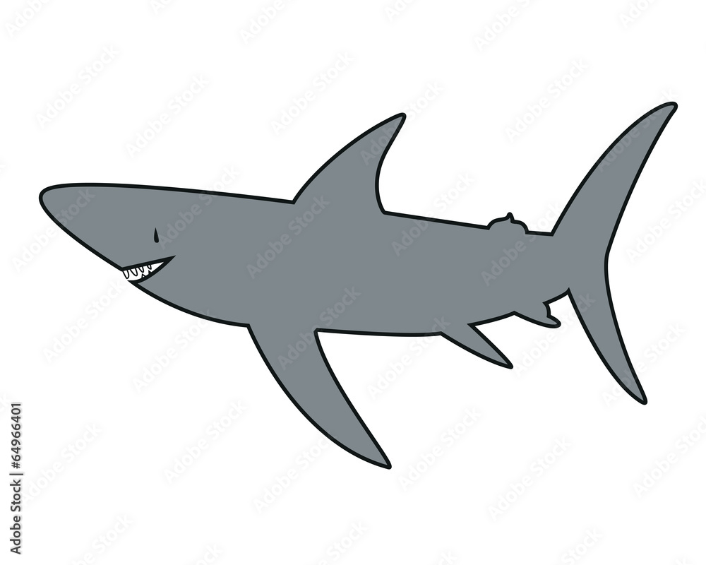 Cute shark Cute shark