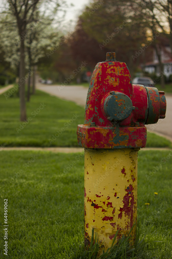 Along the curb Along the curb