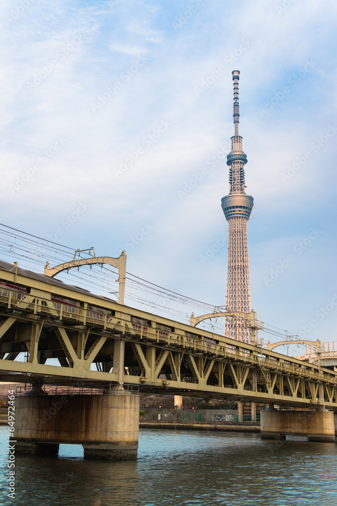 Fototapeta premium Tokyo city and Tokyo skytree at dusk