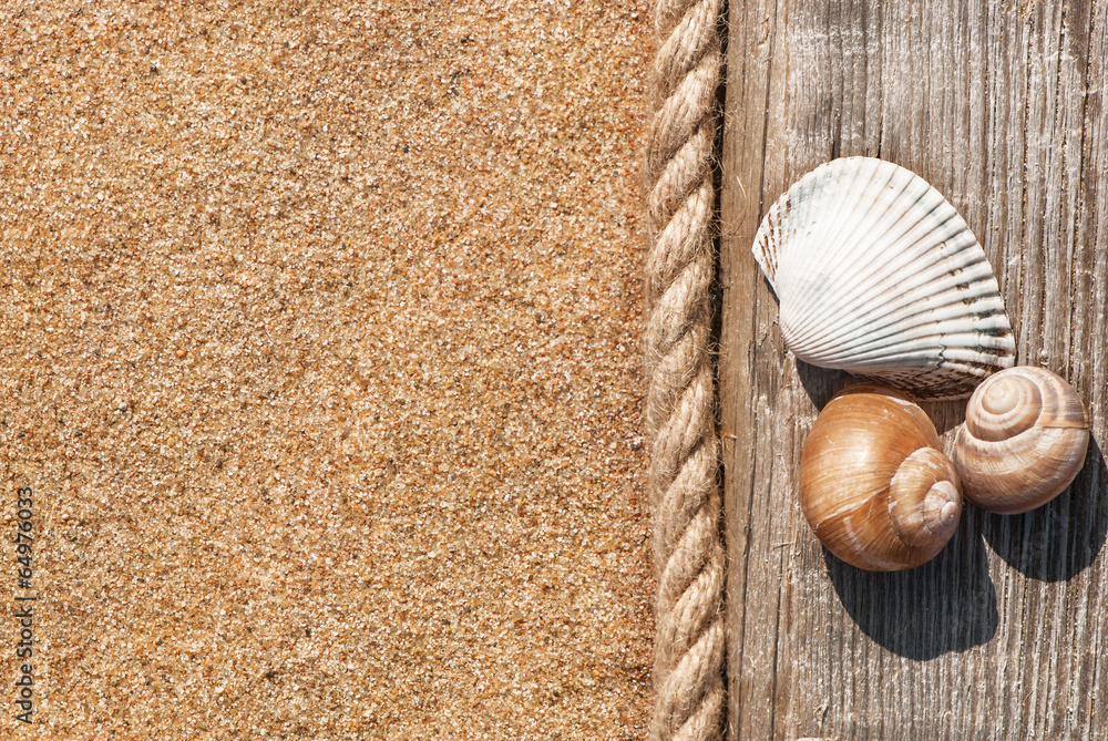 Sand background with old wood, seashells and rope Sand background with old wood, seashells and rope