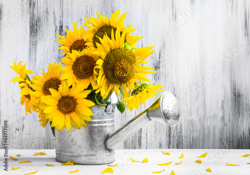 Fototapeta Naklejka Na Ścianę i Meble -  Still life bouquet sunflowers watering can