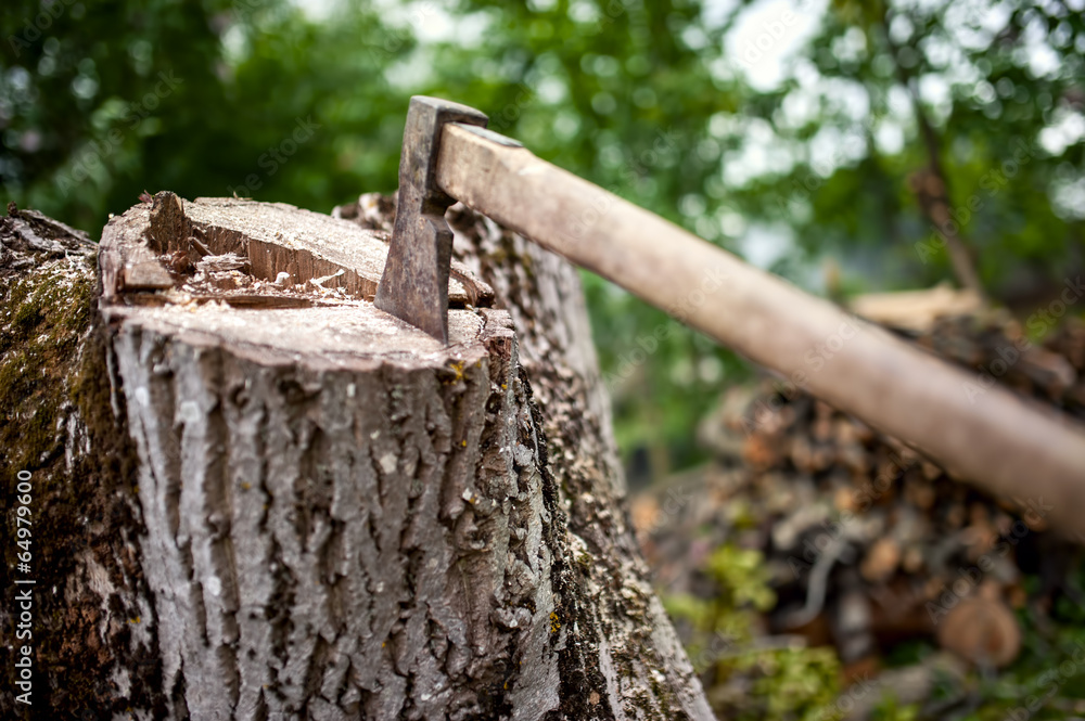 lumberjack hatchet on pile of wood and timber in forest lumberjack hatchet on pile of wood and timber in forest