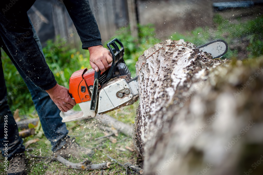 man with gasoline powered chainsaw cutting fire wood from trees man with gasoline powered chainsaw cutting fire wood from trees
