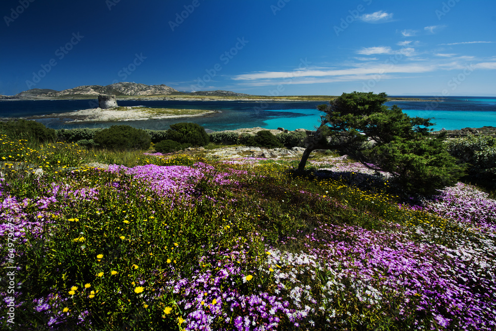 paradisiaca spiaggia  La Pelosa Sardegna