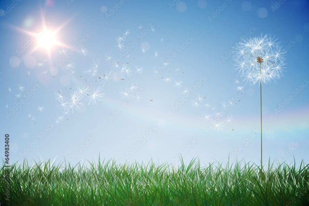 Digitally generated dandelions against blue sky Digitally generated dandelions against blue sky