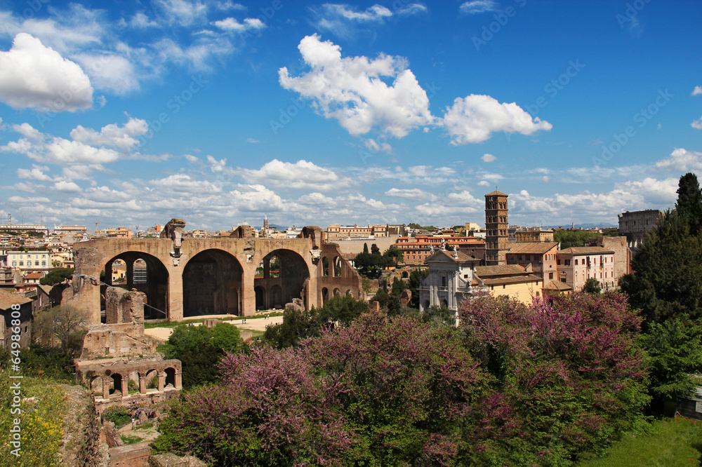 view of Roman Forum, from the Palatine Hill, Rome