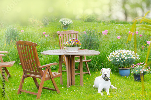 Gartenidyll - Sitzgruppe im Garten photo