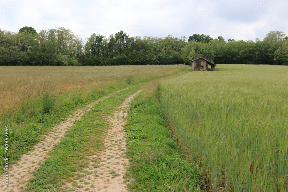 Naklejka premium Parco del Lura - Guanzate
