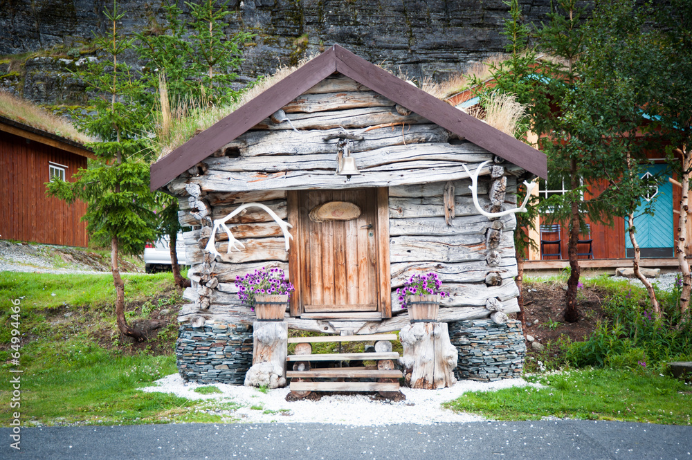 Native scandinavian house