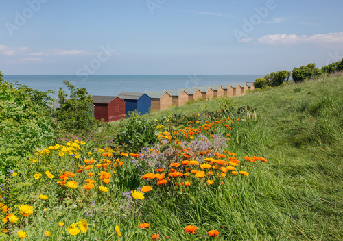 Wild flowers and beach huts in Whitstable