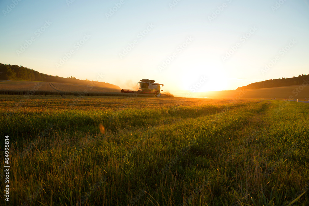 Obraz premium Ernte im Sonnenuntergang