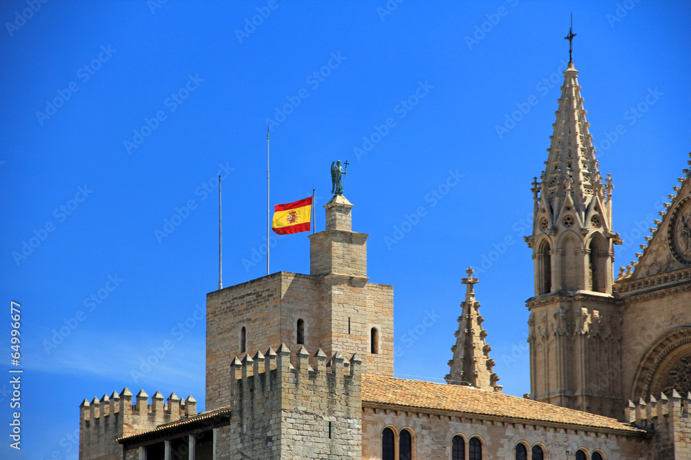 Fototapeta premium palma de mallorca