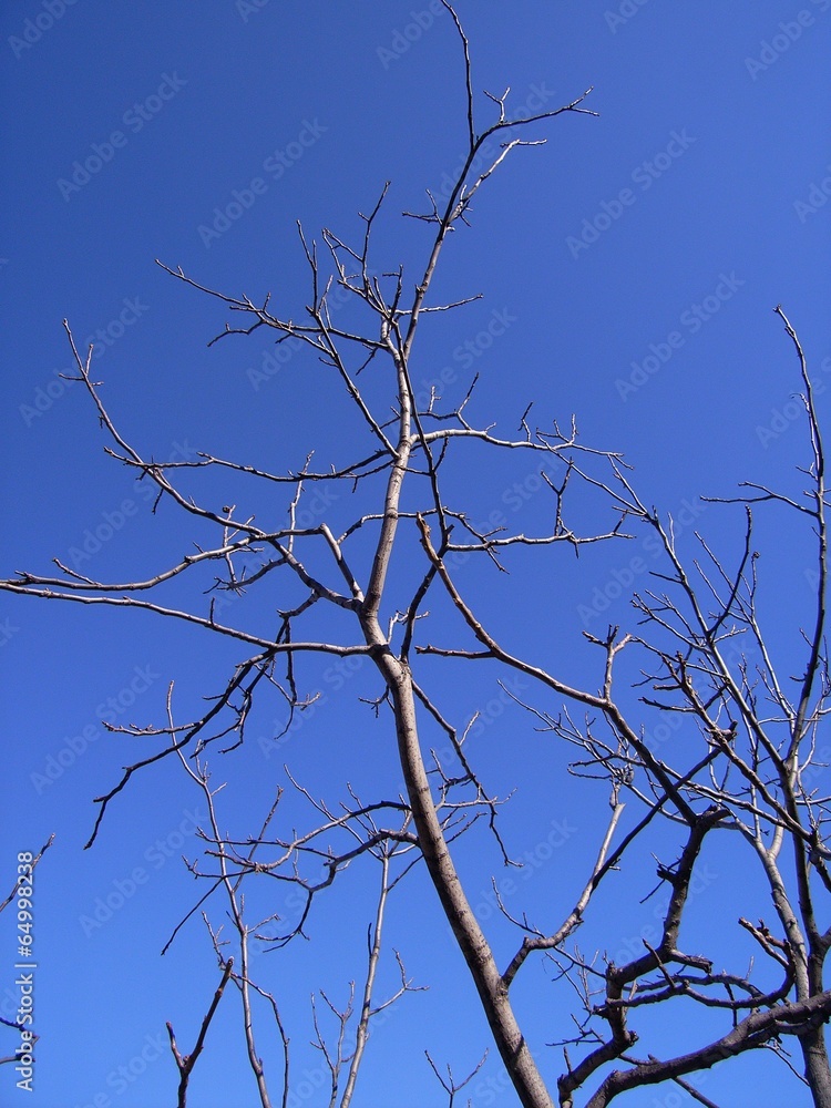 The image of travel destinations in Beijing,Asia