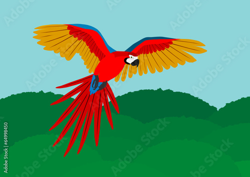 roter Ara
