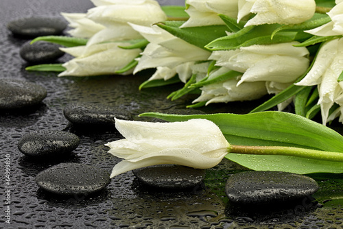 Fototapeta Naklejka Na Ścianę i Meble -  Biały tulipan z kamieniami do spa