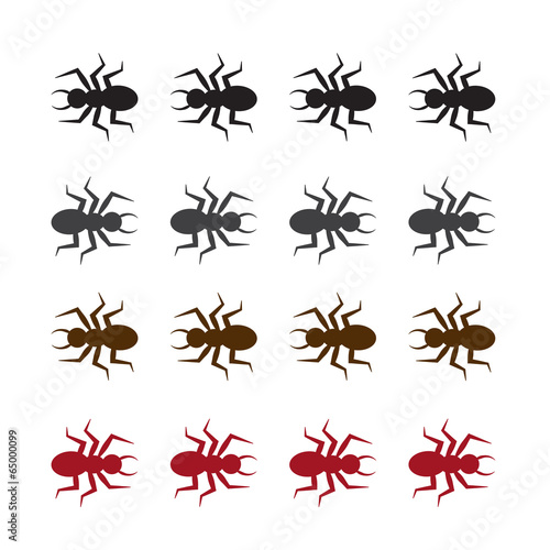 Isolated bug or ants in various colors