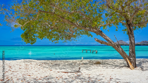 Принти на полотні Beach in Caribbean with a tree