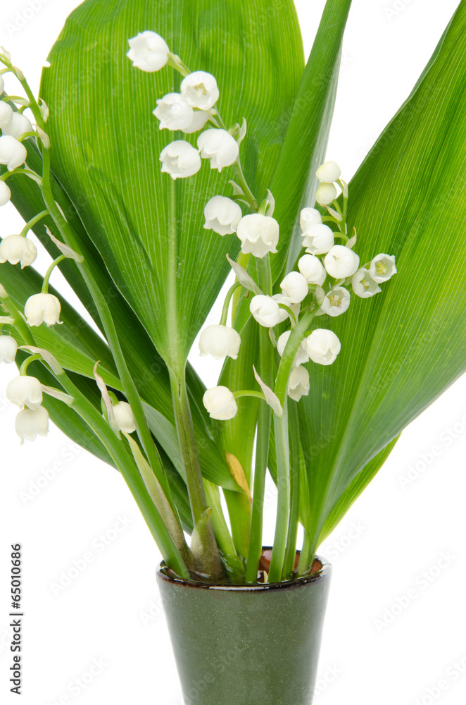 Fototapeta premium Vase of lilies