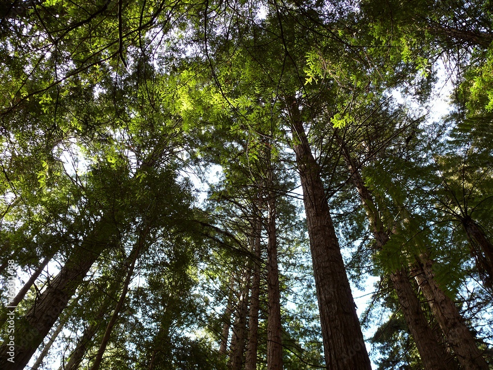 Fototapeta premium The image of travel destination