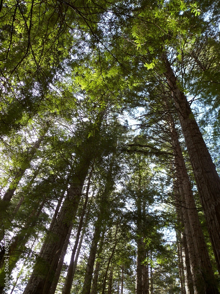 Fototapeta premium The image of famous place