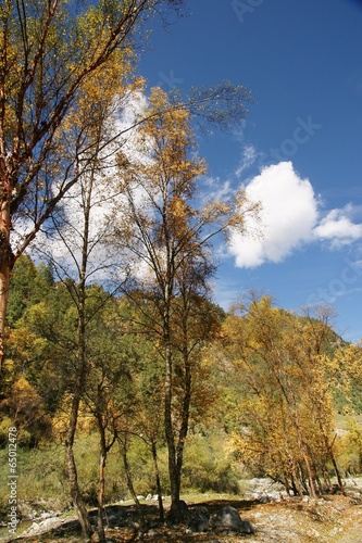 The image of landscape in China  Asia