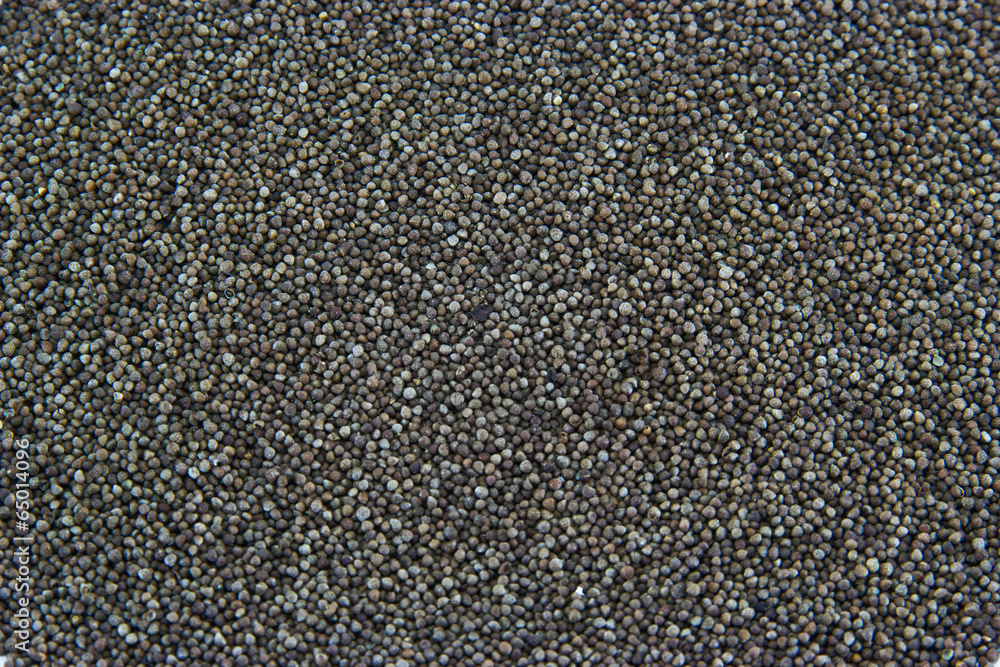Black sesame seeds in close up shot Black sesame seeds in close up shot