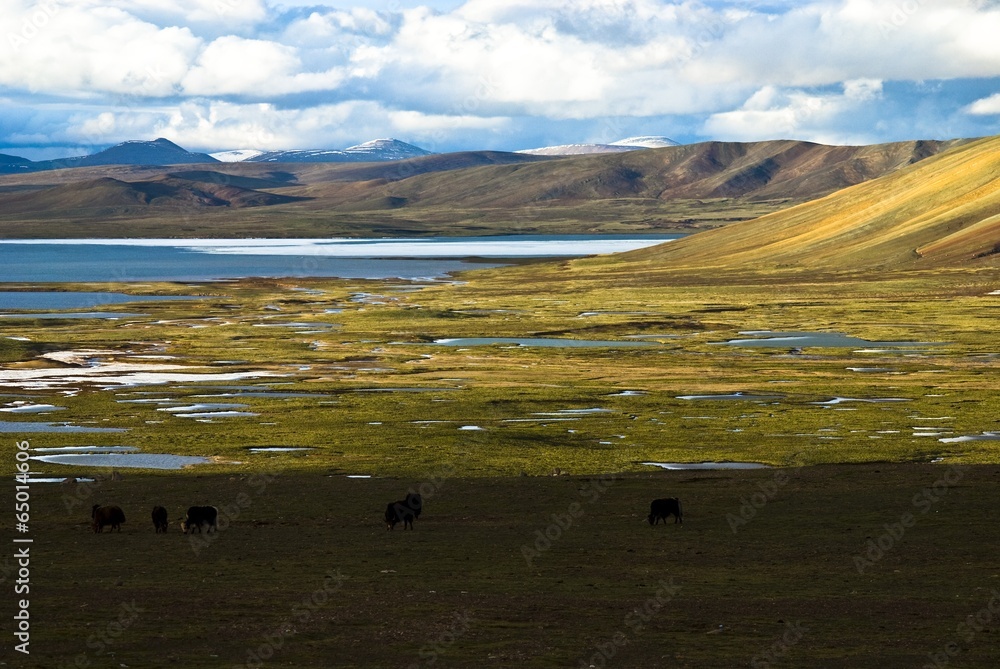 Obraz premium The image of travel destination